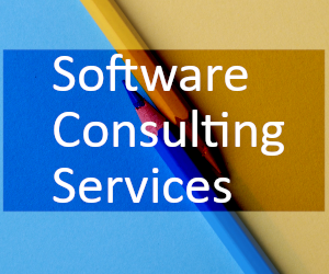 Software Consulting Services